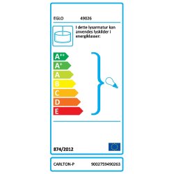 Carlton-P pendel 31.